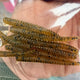  Green Pumpkin Seed