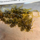  Green Pumpkin Seed