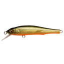  GG Moss Back Golden Shad