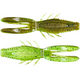  Green Pumpkin Chartreuse Pepper