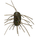  Green Pumpkin w/ Large Green/Purple Flake