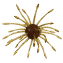  Green Pumpkin Purple Copper