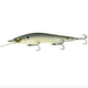  Ghost Bone Minnow