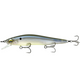  Ghost Bone Minnow