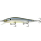  Ghost Bone Minnow