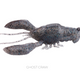  Ghost Craw