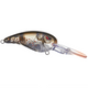  Ghost Orange Craw