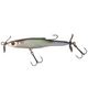  Ghost Shad