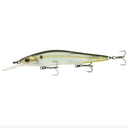  Ghost Threadfin Shad