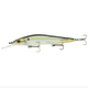  Ghost Threadfin Shad