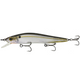 Ghost Threadfin Shad