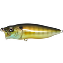 Gill