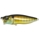  Gill