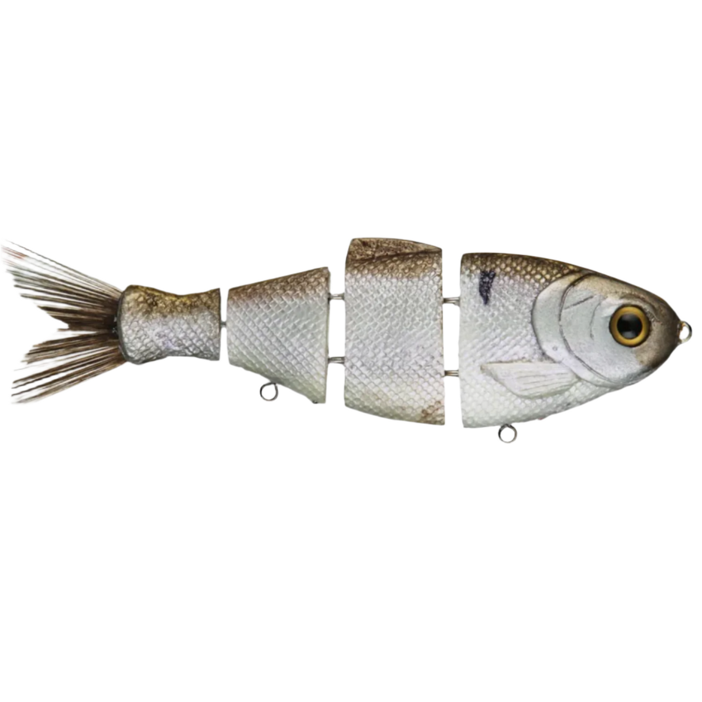 Bull Shad Slow Sink