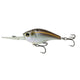  Gizzard Shad