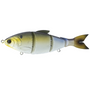 6th Sense Trace 6" Fast Sink Gizzard Shad
