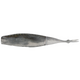  Gizzard Shad