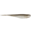  Gizzard Shad