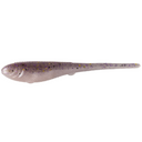  Gizzard Shad