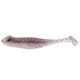  Gizzard Shad