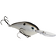  Gizzard Shad