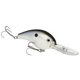  Gizzard Shad