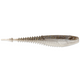  Gizzard Shad