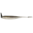 Gizzard Shad