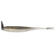  Gizzard Shad