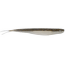  Gizzard Shad