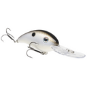  Gizzard Shad
