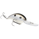  Gizzard Shad