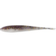  Gizzard Shad