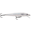  Glass Minnow
