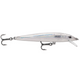  Glass Minnow
