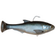  Glimmer Shad