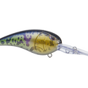  Goby