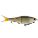  Golden Shiner