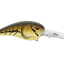  Green Craw
