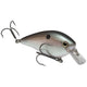  Green Gizzard Shad
