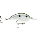  Green Gizzard Shad