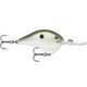  Green Gizzard Shad