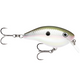  Green Gizzard Shad