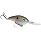  Green Gizzard Shad