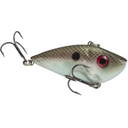  Green Gizzard Shad