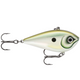  Green Gizzard Shad