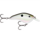  Green Gizzard Shad