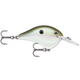  Green Gizzard Shad