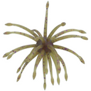  Green Pumpkin Purple Copper