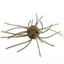  Green Pumpkin -Floatin'